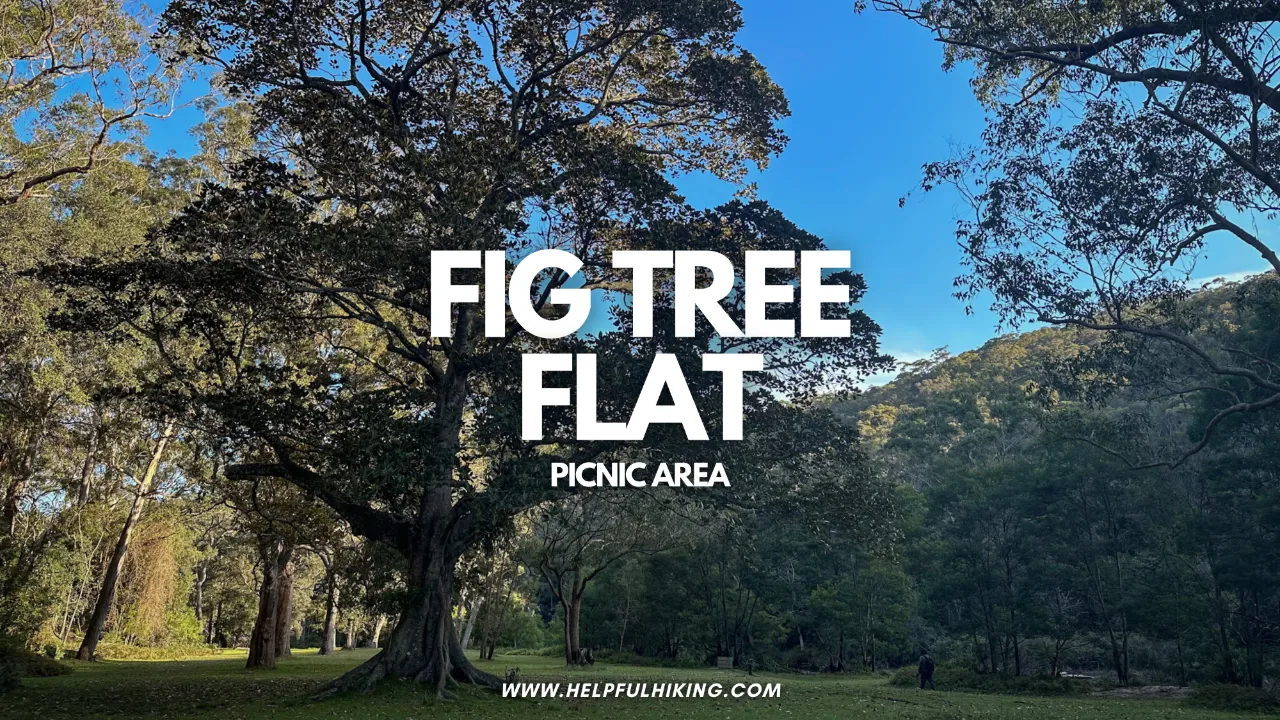 Fig Tree Flat Picnic Area: Beautiful Location At The End of Lady Carington Drive