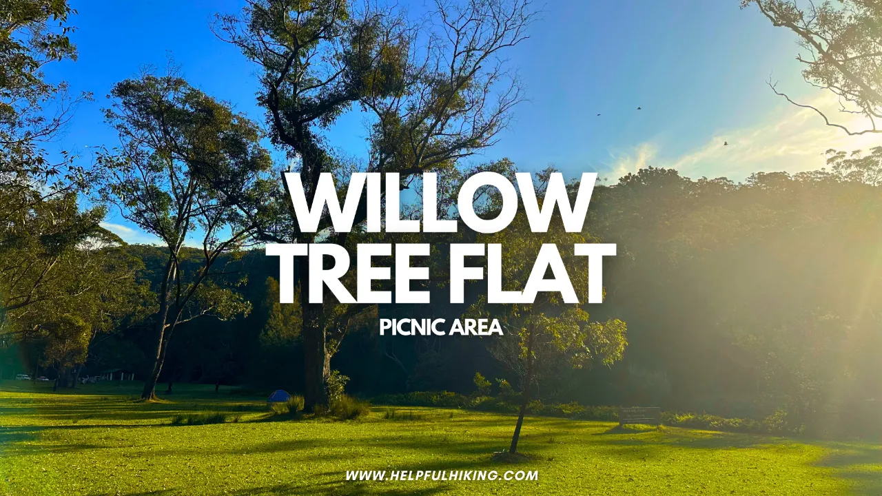 Willow Tree Flat Picnic Area: Quiet Spot Right Near Audley