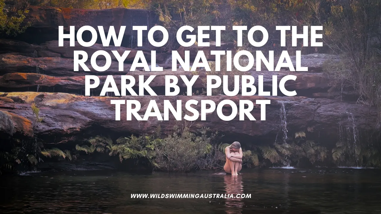 How To Get To The Royal National Park By Public Transport – 21 Amazing Trails Accessible Without A Car