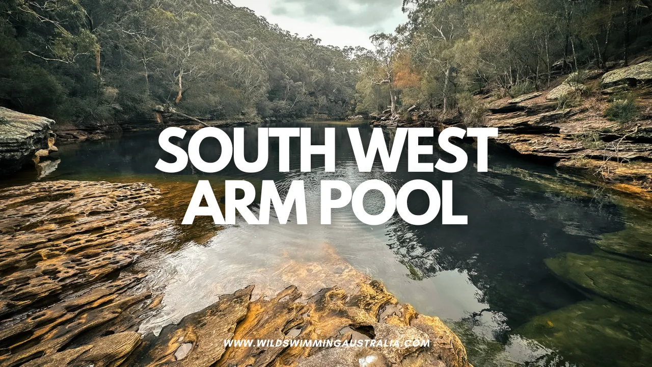 South West Arm Pool Complete Walking Guide – One Of The Best Swimming Holes In The Royal National Park