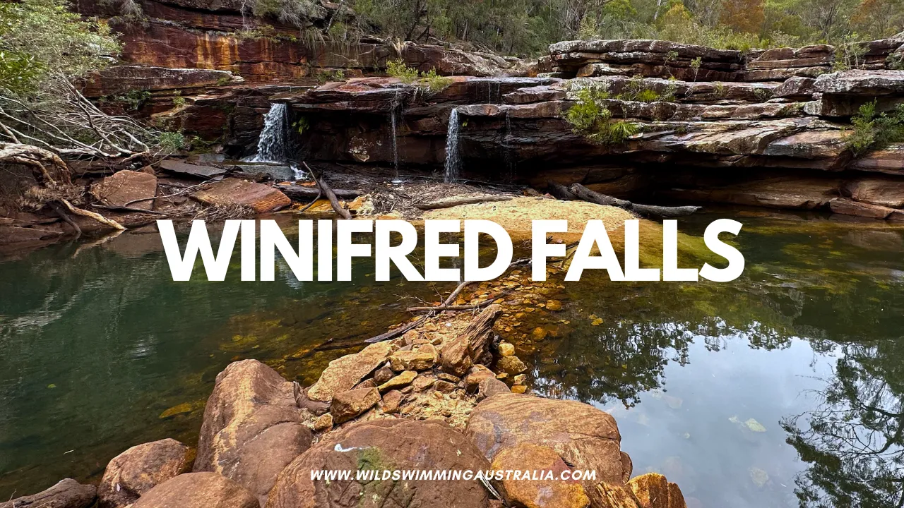 Winifred Falls Complete Walking Guide – Short Hike To A Beautiful Waterfall in The Royal National Park